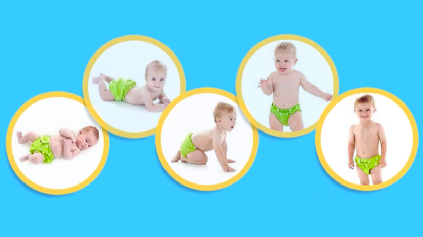 Cargar video: 